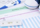 Ovulation indicators to help you know that you are pregnant!