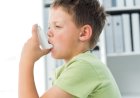 Everything That You Need To Know About Asthma