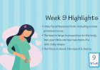 Pregnancy Week - 9