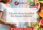 Effective Home Remedies To Fight Against Females Infertility