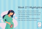 Pregnancy Week – 21