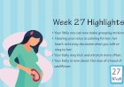 Pregnancy Week – 27