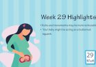 Pregnancy Week – 29