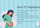 Pregnancy Week – 31