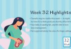 Pregnancy Week – 32