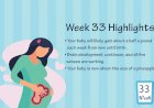 Pregnancy Week – 33