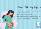 Pregnancy Week – 34