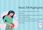 Pregnancy Week – 38
