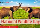 National Wildlife Day 2019