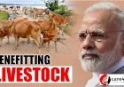 Prime Minister Narendra Modi Launches National Animal Disease Control Programme on 11th September 2019
