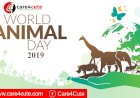 4th October - World Animal Welfare Day 2019