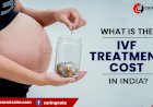 What is the IVF Treatment cost in India - 2021?