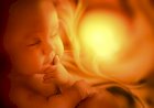 Building Brilliance:  How Pregnant Women Can Foster their Child's IQ ?