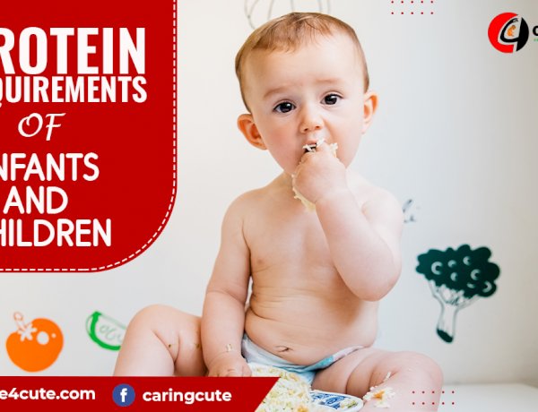 Protein requirements of infants and children