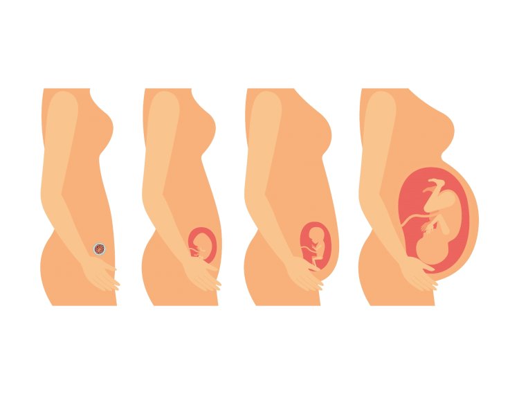 Tips for optimum growth of fetus in utero