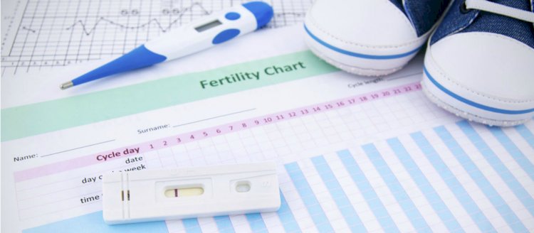 Ovulation indicators to help you know that you are pregnant!