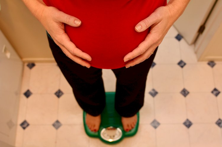 Obesity (Overweight) and Pregnancy