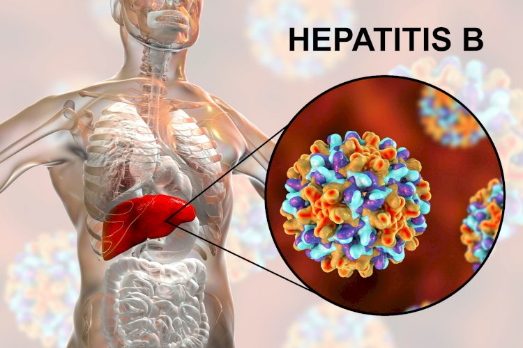 What is hepatitis B?