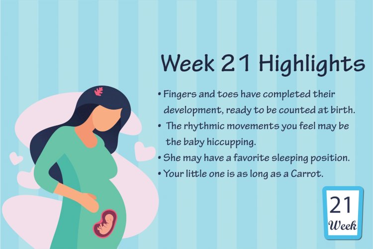 Pregnancy Week – 21