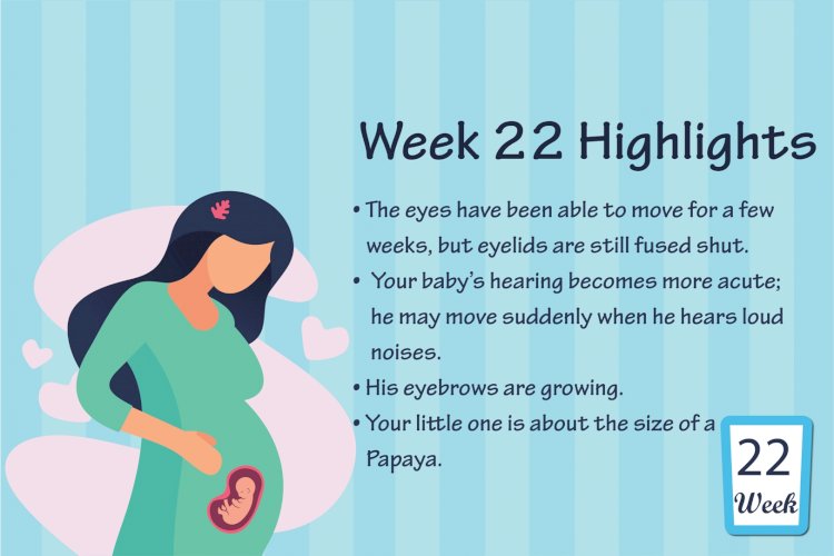 Pregnancy Week – 22