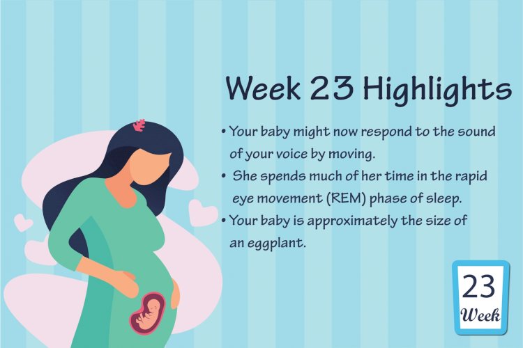 Pregnancy Week – 23