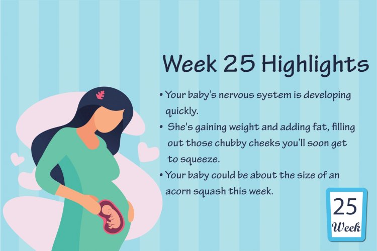 Pregnancy Week – 25