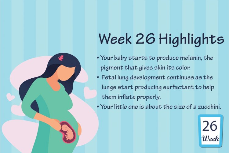 Pregnancy Week – 26