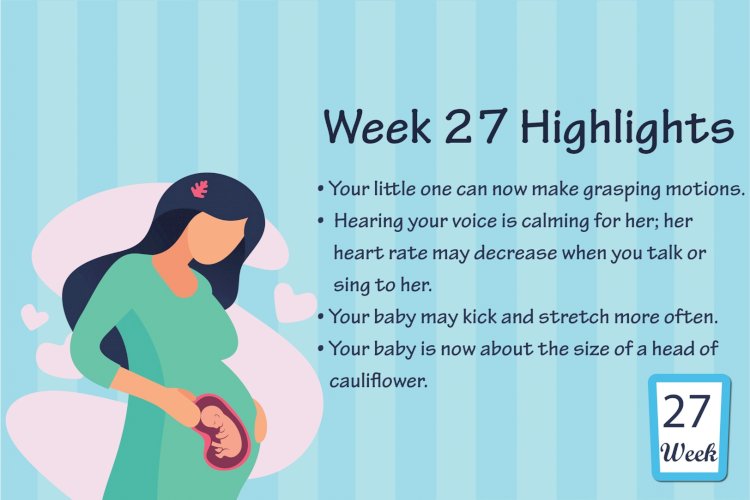 Pregnancy Week – 27