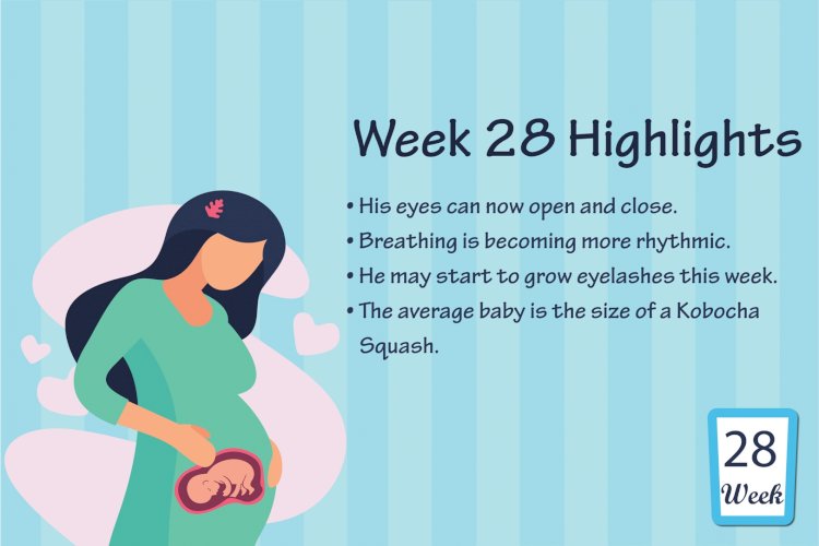Pregnancy Week –28