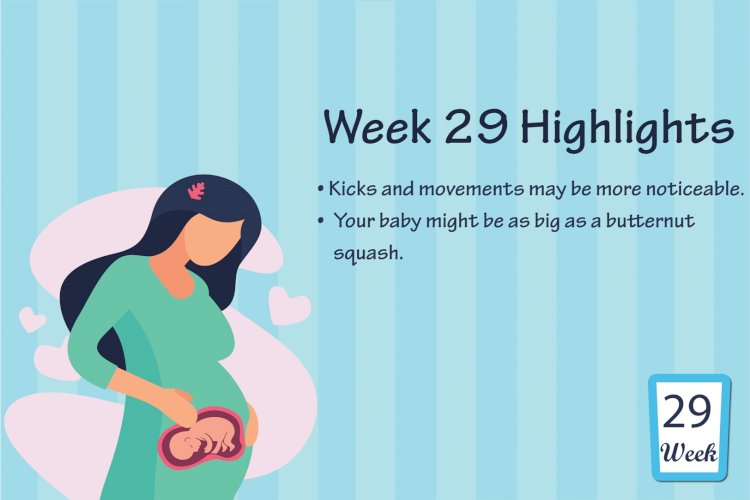 Pregnancy Week – 29