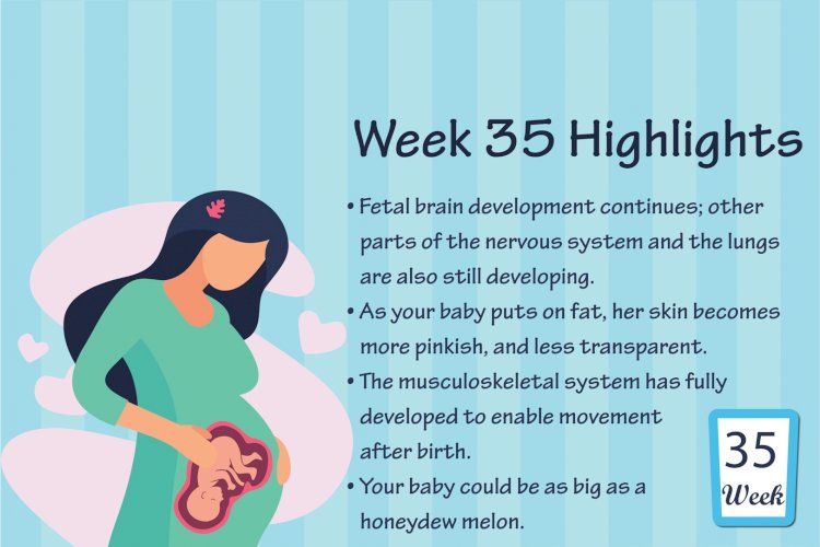 Pregnancy Week – 35