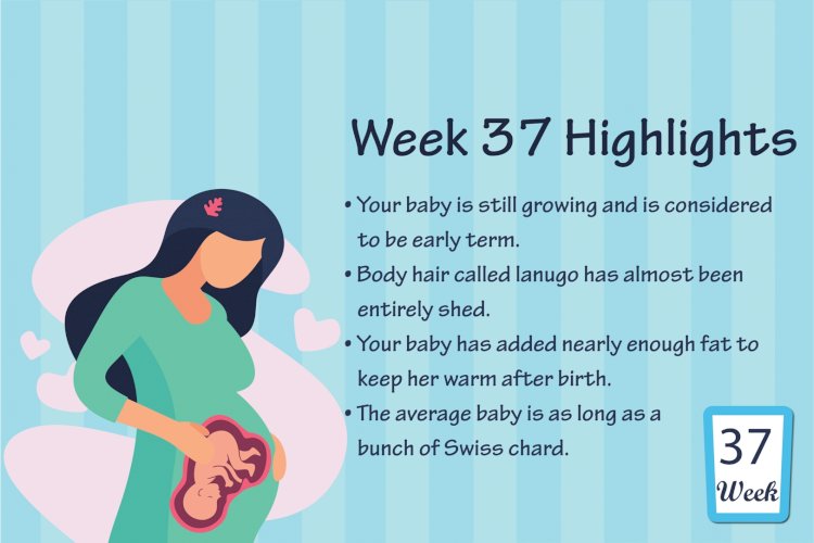 Pregnancy Week – 37