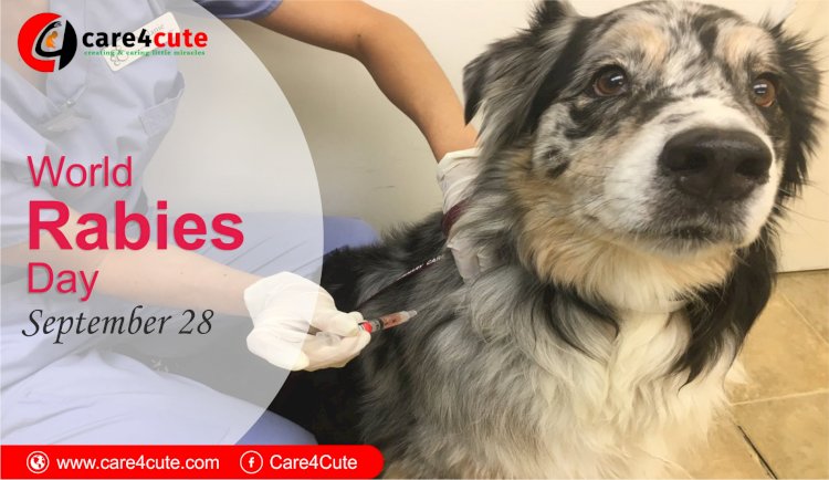 September 28 - World Rabies Day 2019