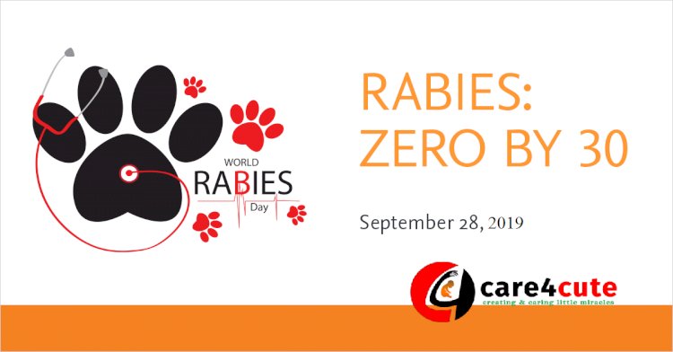World Rabies Day 2019