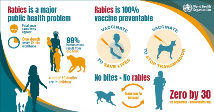 World Rabies Day 2019