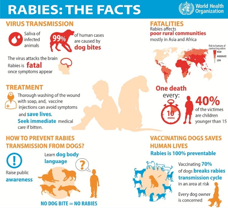 World Rabies Day 2019