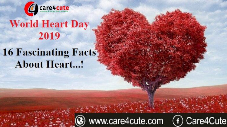 World Heart Day 2019: 16 Fascinating Facts About Heart
