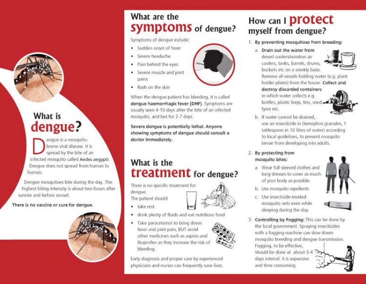 All about Dengue fever
