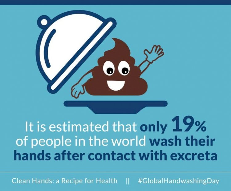 Facts realted to Handwashing habits 