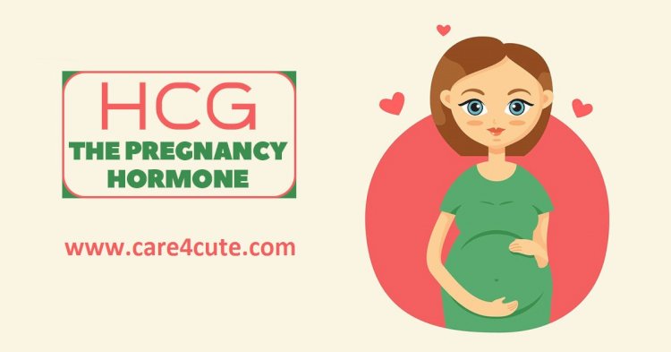 HCG - The Pregancy Hormone 
