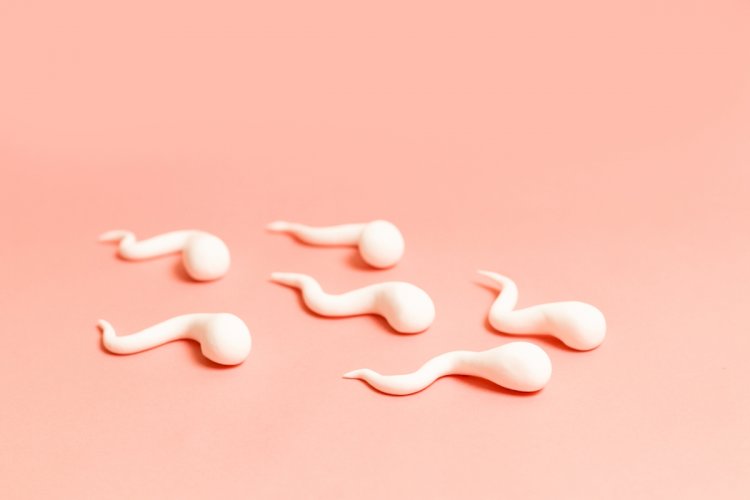 Azoospermia : Frequently asked questions