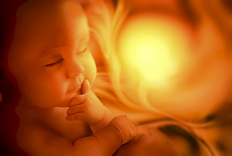 Building Brilliance: How Pregnant Women Can Foster their Child's IQ ?
